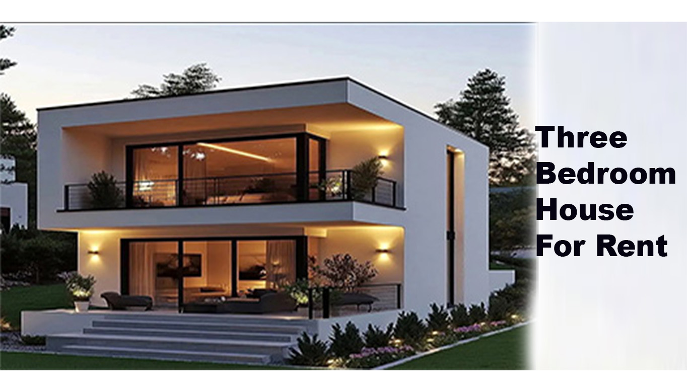 Product 1 Image